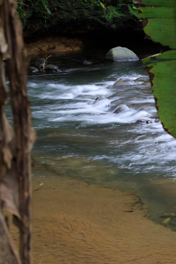 Casa Del Bosque At La Fortuna المظهر الخارجي الصورة